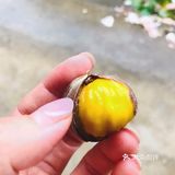 #暖暖家#如何做出不上火又好吃的栗子