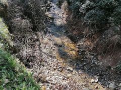 -北仑森林植物园