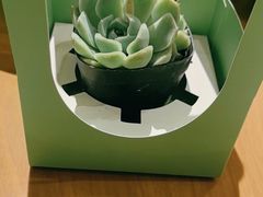 -四季餐厅·新津菜(环湖中路店)