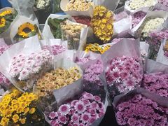 -循礼门鲜花花市(武汉循礼门店)