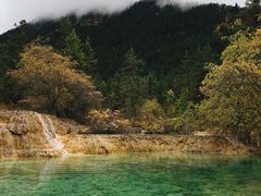 -黄龙山原始森林景区