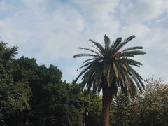 -南宁南湖公园
