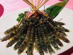 斑节虾-行家海鲜火锅酒家(静安寺店)