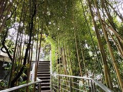 -三利音·浦之舟(滨江大道店)