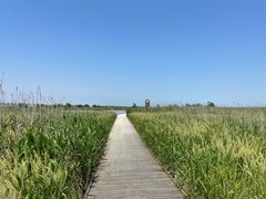 -盐城丹顶鹤湿地生态旅游区