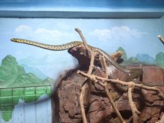 -石家庄市动物园