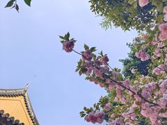 -龙华寺