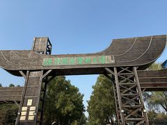 -溱湖国家湿地公园