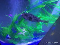 -欧亚达商业广场(红桥店)