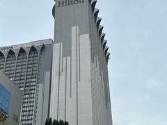 -新加坡乌节希尔顿酒店 (SG Clean)