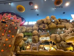 -卡通尼·Safari非洲探索乐园·生日会(金桥国际商业广场店)