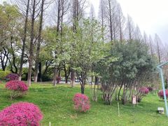 -食膳公园包子铺(烈士公园店)