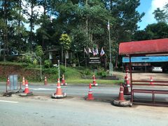 -黄色小屋