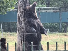 -秦皇岛野生动物园