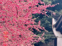 -乌山风景区