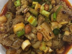 -天一沾水肥肠(科园一街店)