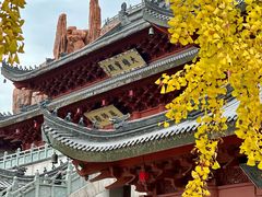 -上海东林寺(金山区)