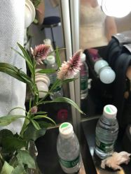 点击看大图 -现代经典婚纱摄影