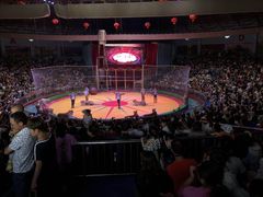 -西安秦岭野生动物园