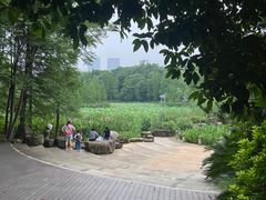 -雨湖公园