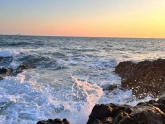 -大连老虎滩海洋公园