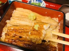 -料亭菊水楼