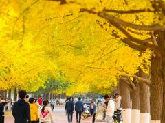-辽宁大学(崇山校区)