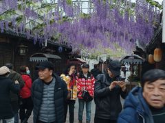 -婺源梦里老家大型山水实景演出