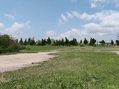 -盐城丹顶鹤湿地生态旅游区