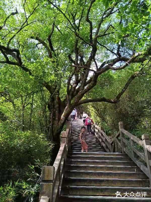 净心 净心 梵净山