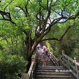 净心 净心 梵净山