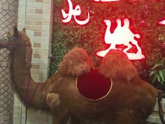 -北疆饭店(大运河博物馆宝龙店)
