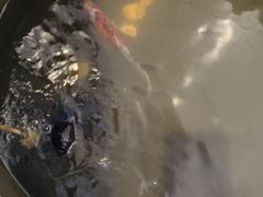 -萌兽医馆·眼科·异宠专科(三里屯店)