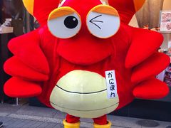 -蟹道乐(道顿堀本店)