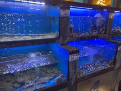 -鲜味食族水产·海鲜餐厅