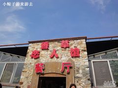 DSC03649-苏州太湖西山岛开心农场