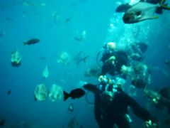 -瑞德姆美人鱼海底演艺主题餐厅(亚龙湾店)