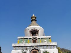 -塔尔寺游客服务中心