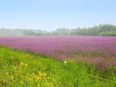 -南京金牛湖风景区