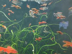 -成都浩海立方海洋公园