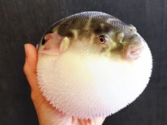 -永安鱼庄·镇江菜(东吴路店)