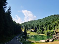 -武陵山森林公园