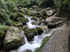-青城山