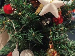 -贝瑞咖啡(深圳机场店)