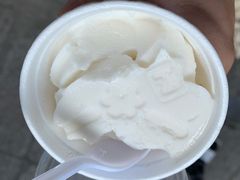 椰子雪糕-洪馨椰子