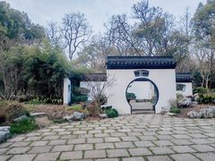 -上海共青森林公园