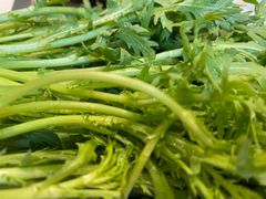 茼蒿-老广州打边炉(宏润·翠湖天地璞园店)