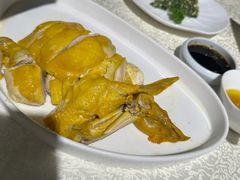 -金枝玉叶上海人家食府(三里河店)