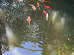 -胡雪岩故居