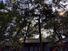 -子昂故里文化旅游区